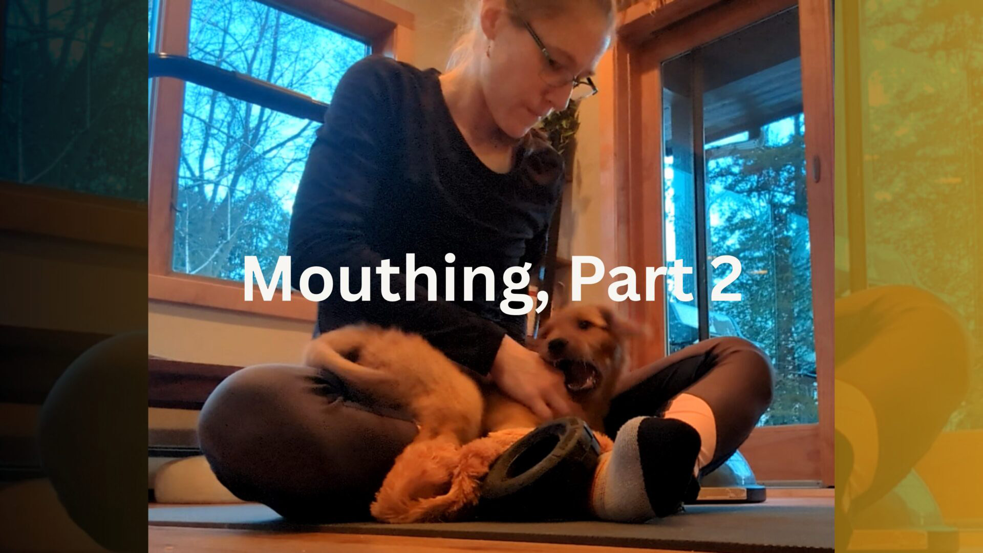 Much Ado About Mouthing, Part 2: Meeting Your Dog’s Mouthing Needs